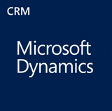 MICROSOFT DYNAMICS CRM ONLINE PROFESSIONAL ADD-ON TO OFFICE 365 GOVERNMENT