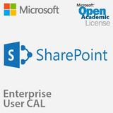 MICROSOFT SHAREPOINT SERVER 2019 ENTERPRISE USER CAL - OPEN ACADEMIC