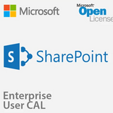 MICROSOFT SHAREPOINT SERVER 2019 ENTERPRISE USER CAL - OPEN LICENSE